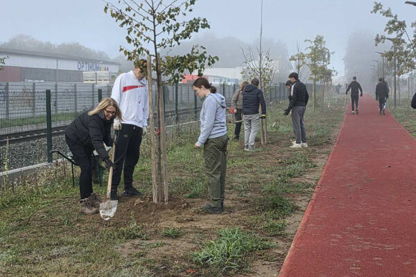 Za zeleniju Viroviticu: U parku Čarobna šuma posađeno novih 12 stabala malolisne lipe 16 viber slika 2026 10 23 09 47 59 176